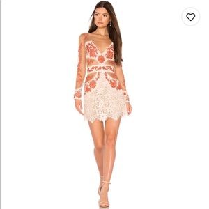 For love and lemons mesh dress! Size small